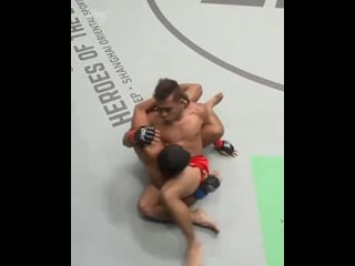 4mma humor