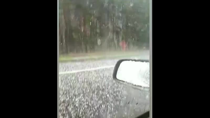 Гомельский район, 12 мая