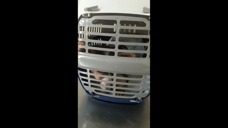 Наденька на осмотре у дерматолога