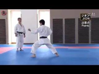 Shotokan kata vol 7 masao kagawa jion масао кагава