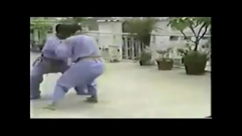 Vovinam việt võ đạo (chương trình hỗ trợ công tác huấn luyện full)