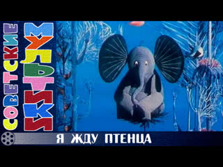 М/ф «я жду птенца» (1966 год)