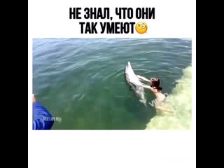 Прокатилась на дельфине 🐬