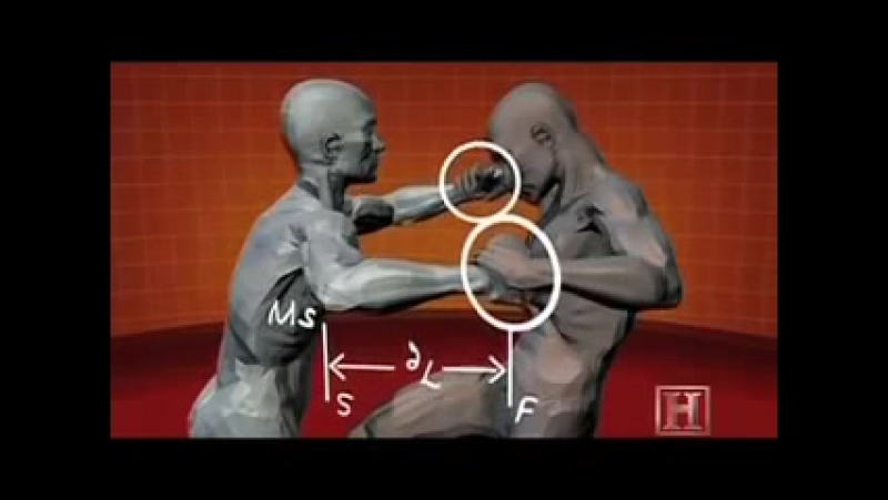 Krav maga porn defense ufcall ©