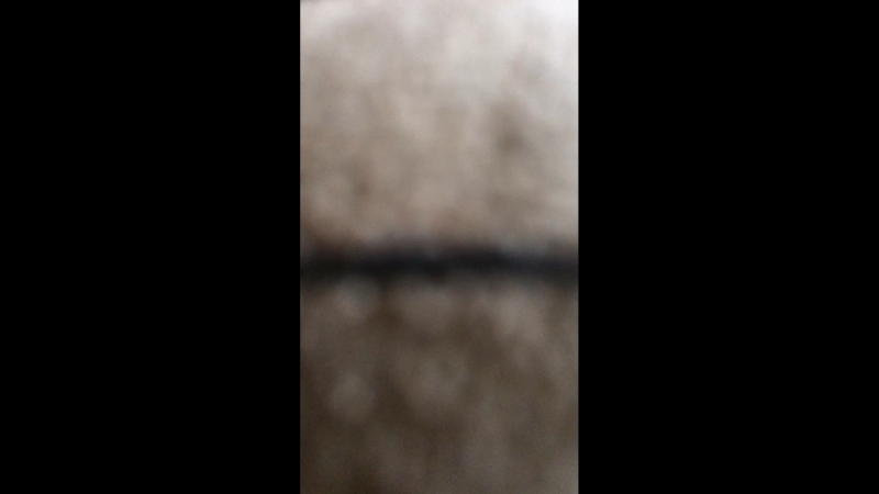 Попытка отвести чичу к лору