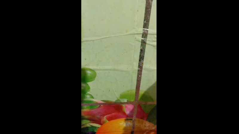 Мой эксперимент, салфетка для мытья посуды