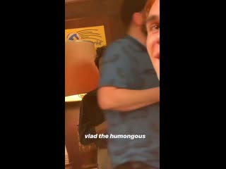 Инстасторис камилы