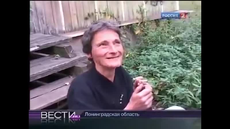 Сюжет "вестей" ирина линник (кузнецова) наблюдает, как полицейские уничтожают её коноплю