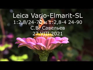 С в савельев leica vario elmarit sl /27 08 2021/