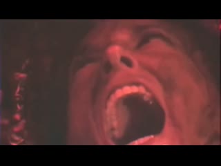 Freddie mature bearded man deepintheforest (unofficial) (2019)