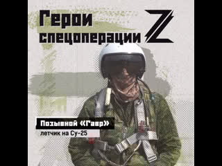 Герои z позывной "гавр"