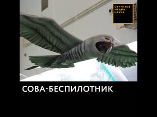 Сова беспилотник