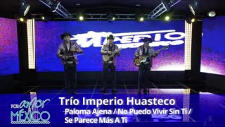 Paloma ajena / no puedo vivir sin ti / se parece más a ti, por amor a méxico