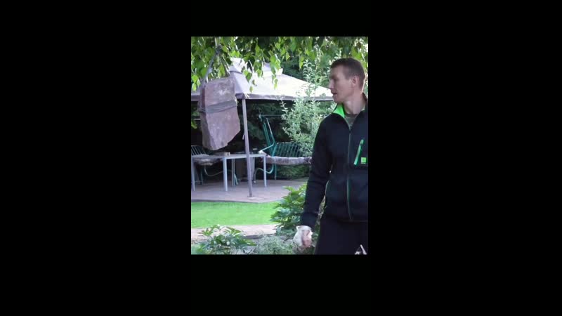 Удар на расстоянии, левитация возможности человека