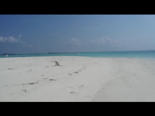 Welcome to the sandbank