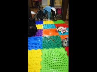 Vid 20210109 100116 mp4