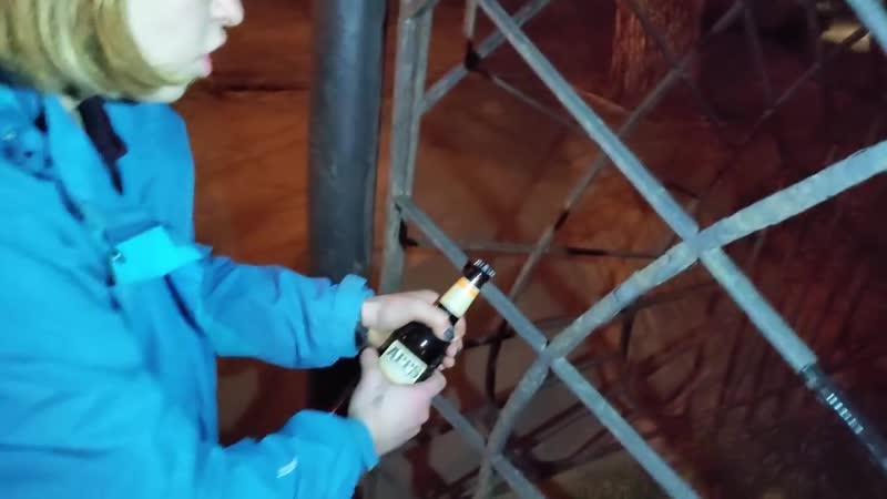 Дочь супер суса (аня голубь)