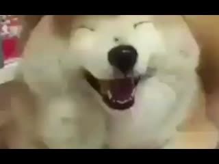 Jinmin by porn ⁺¹⁸