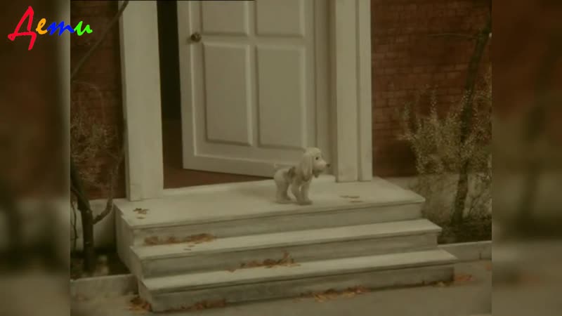 Чуча 3 бизе, щедрин