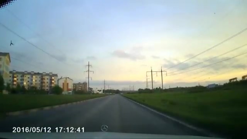 Голубь сбил логотип на мерседесе