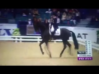 Beata stremler rubicon d reem acra fei world cup dressage grand prix