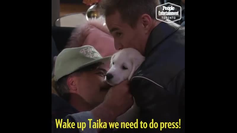 Tiff porn video – Sam rockwell and taika waititi at tiff with puppies