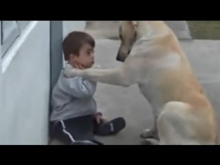 Sweet mama dog interacting with a beautiful porn with down syndrome from jim stenson