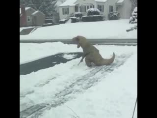 Классный костюмчик😃))))))))))) rkfccysq rjcn vxbr😃)))))))))))