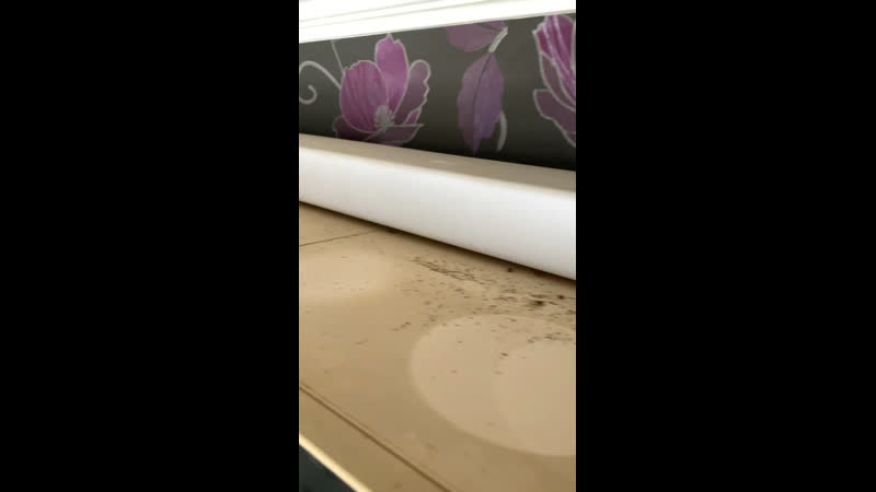 Где прячутся на кухне