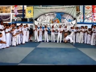 Samurai e serpente talentos da abada capoeira