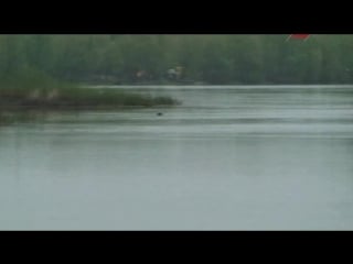 Nasha ribalka chexon na fider 2011 xvid iptvrip