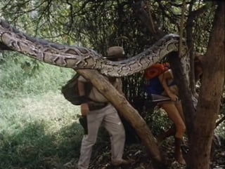 The treasure of the amazon / сокровища амазонки (приключения, реж рене кардона мл, мексика / сша, 1985 г )