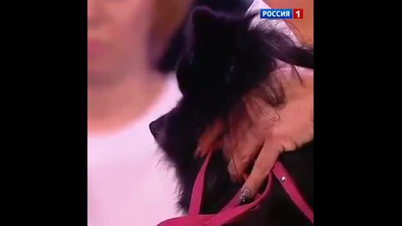 На федеральном телевидении всё как обычно молодые гипнотизёр блять