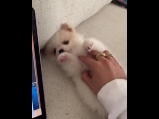 Kirstin 20200104 170013 0 mp4