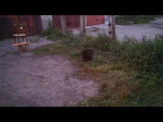 Vid 20200902 191210 mp4