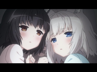 Nekopara/некопара