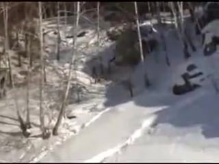 Megapolis live meat?