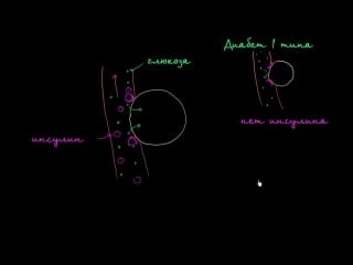 Глюкоза, инсулин и диабет