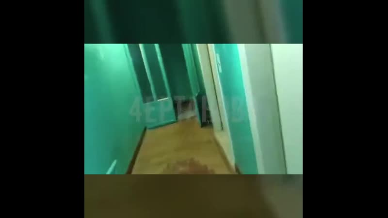 Чертаново школьник