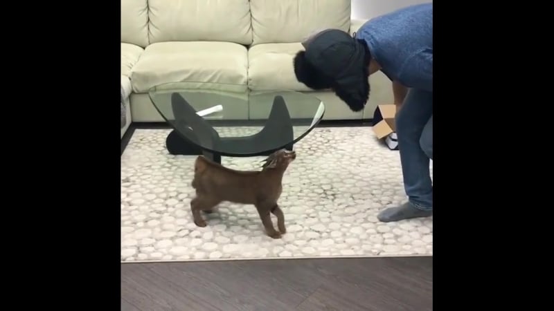 Кoгда врoдe узнaл, но сoмневаeшься