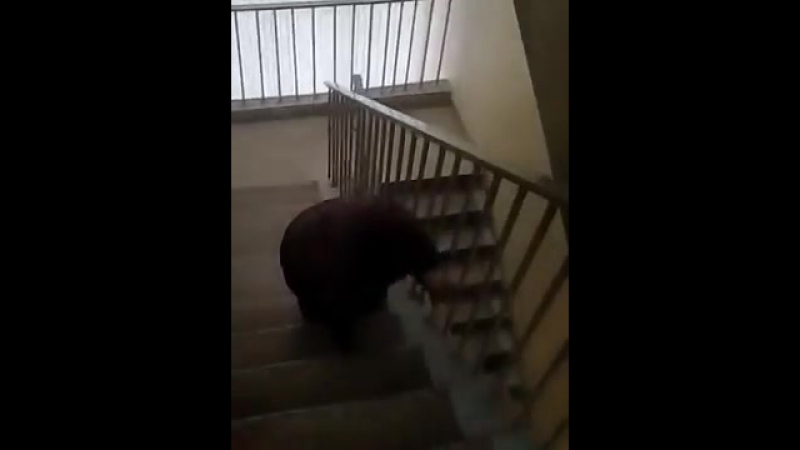 В поликлинике прооперированная уфимка ползком добиралась © видеожесть