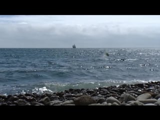 Александр пономаренко об эволюции и разнообразии насекомых