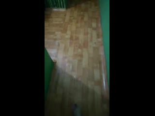 Vid 20200602 132447 mp4