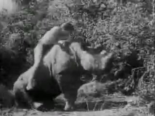 Девушка тарзана / тарзан и его подруга / tarzan and his mate (1934)