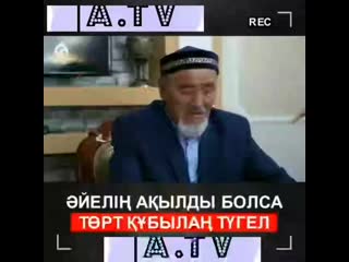 Video joke kz 20191226 6 mp4