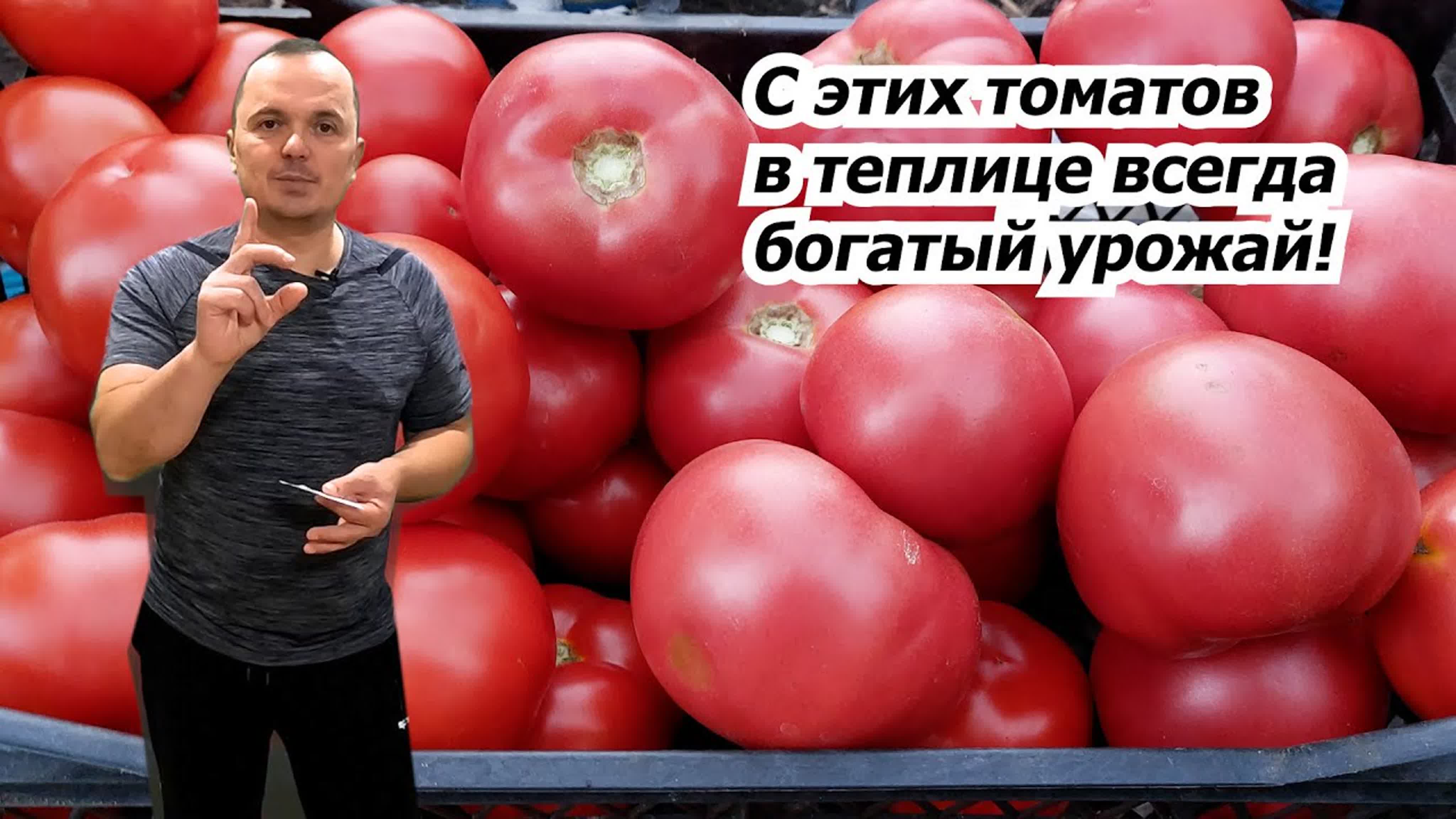 🍅сад и огород своими руками!🍅 одни из лучших высокорослых томатов, или,  что будем выращивать в теплице! watch online