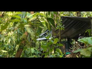 Наркобизнес [s01 e01] (2020) 720p [p ozz] mkv