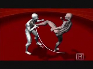 Human weapon savate techniques