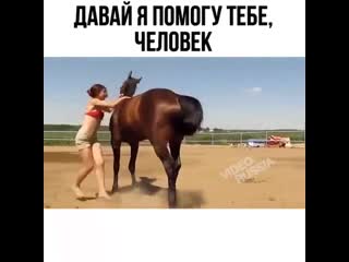 Умная лошадка 🐎