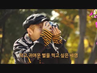 [seyoung] vlog film camera